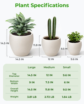 Homenote modern design planter elevates patios and living spaces.