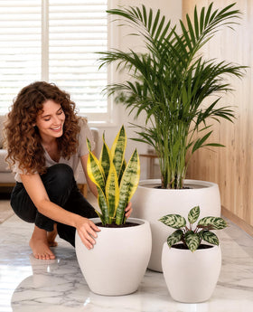 Homenote off-white indoor planter blends with contemporary interiors.