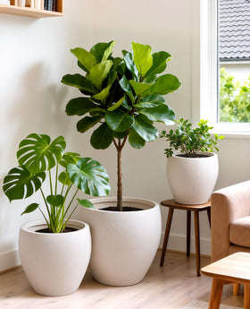 Homenote durable outdoor planter in thick plastic for outdoor use.