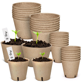 Homenote peat pots with drainage holes support healthy drainage for seedlings