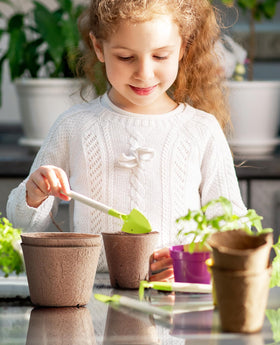 Homenote 4 inch peat pots provide ample root space for vegetables