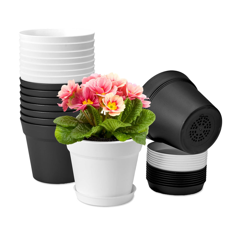 Homenote 6 inch white plant pot with drainage holes for healthy indoor plants