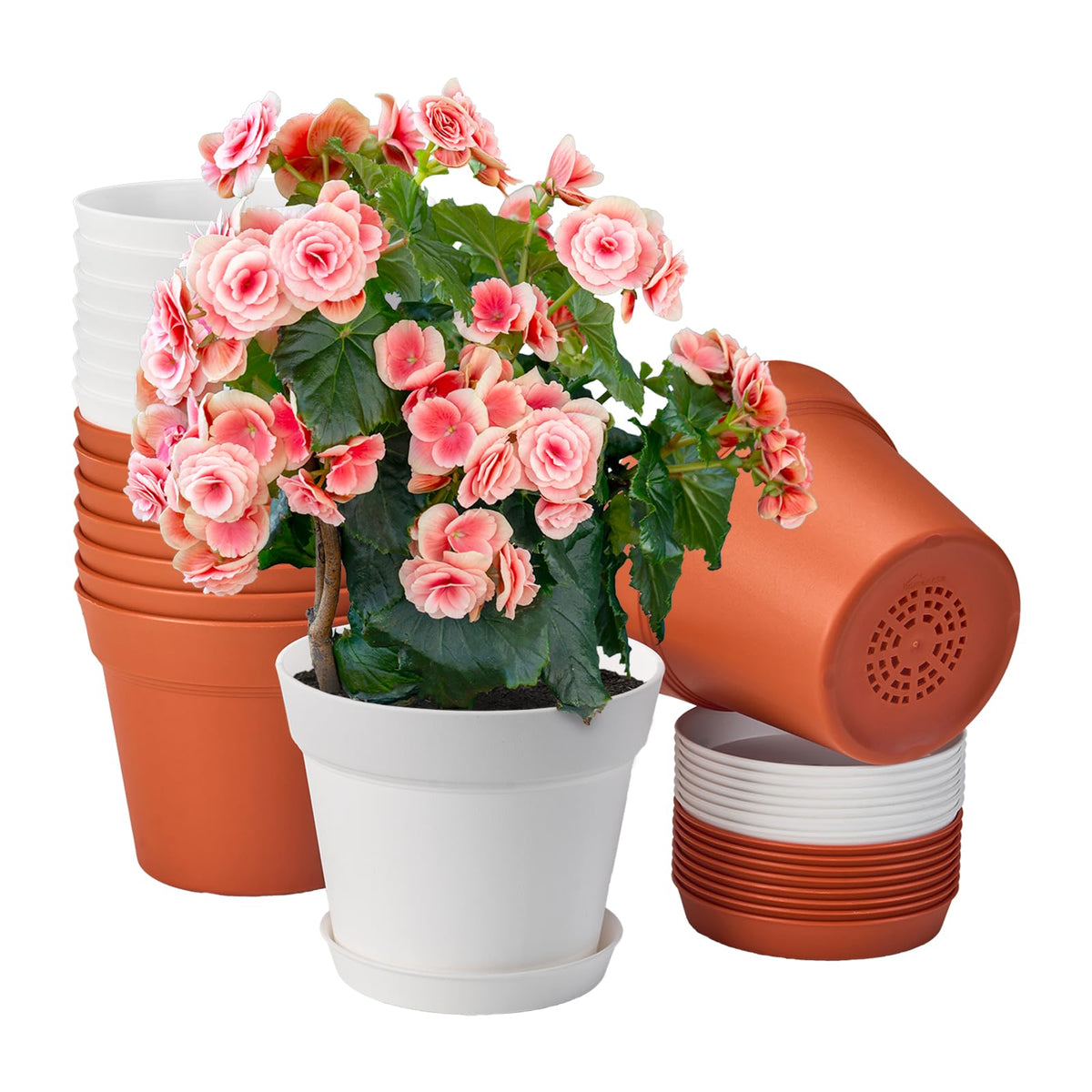 Homenote 6-inch plant pots for indoor use, ideal for herbs and succulents.