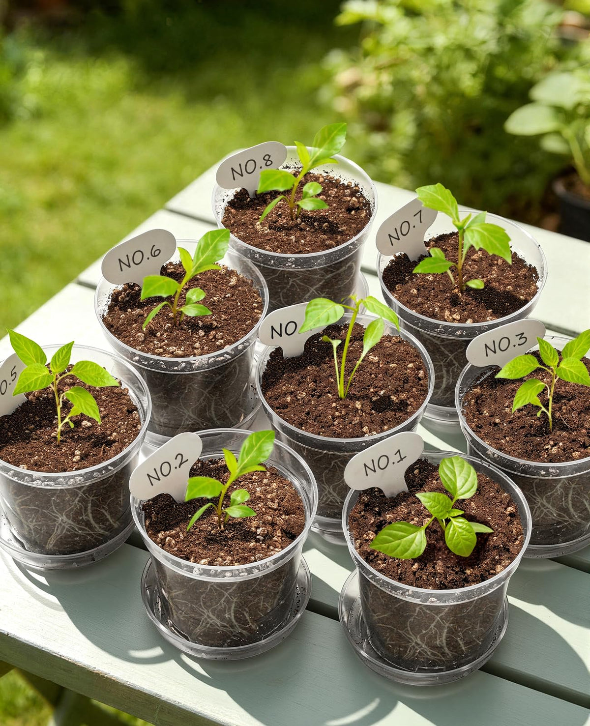 Homenote plant saucer catches runoff, protecting floors and surfaces.