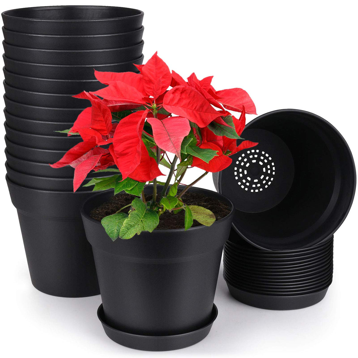 Homenote 6-inch pot with drainage holes promotes proper drainage for thriving plants.