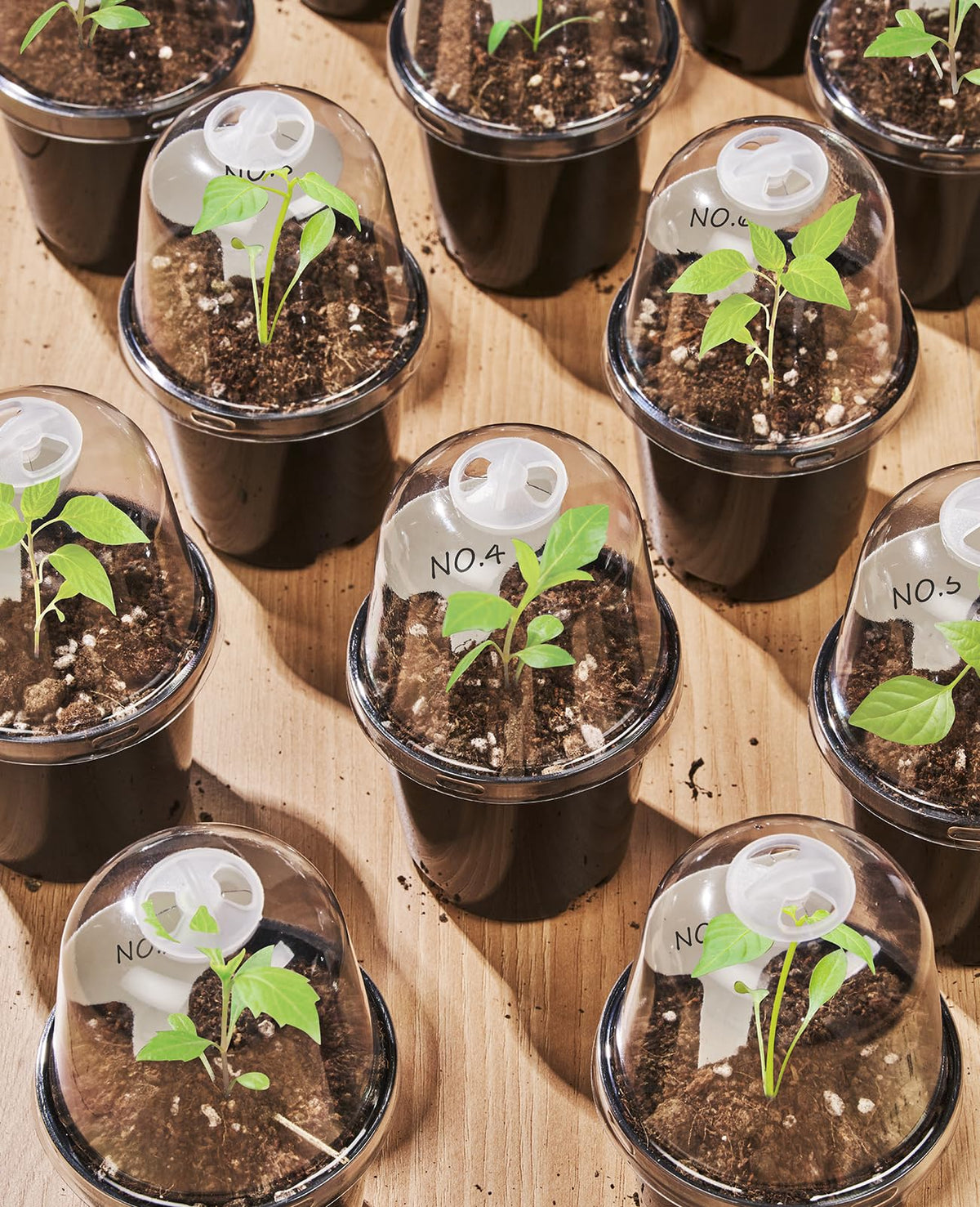 Homenote raised-bottom design promotes air flow and healthier roots.