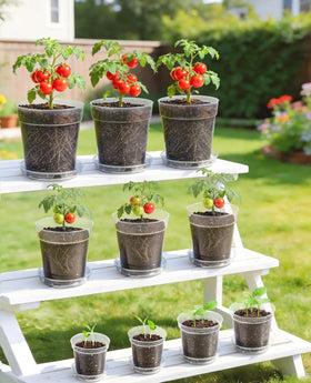 Homenote rigid PP pot keeps shape during watering and transplanting.