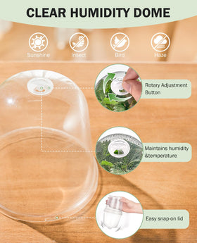 Homenote root health visible through transparent pot for monitoring