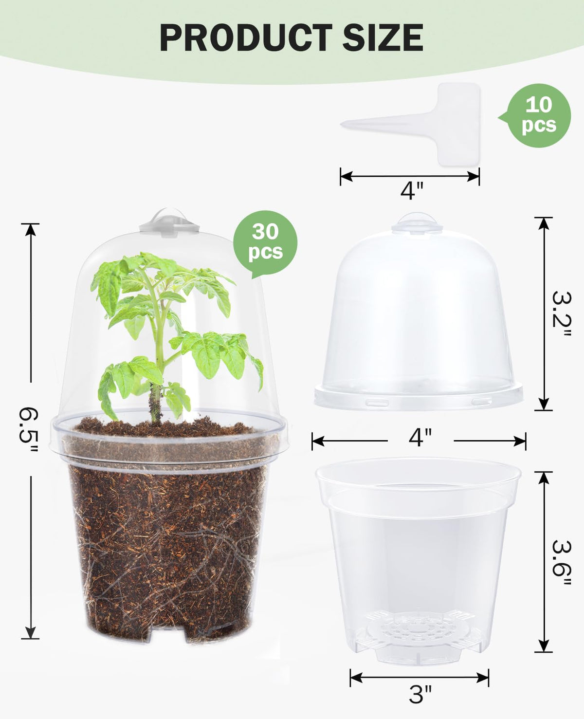 Homenote seed-starting pot supports propagation with ample drainage