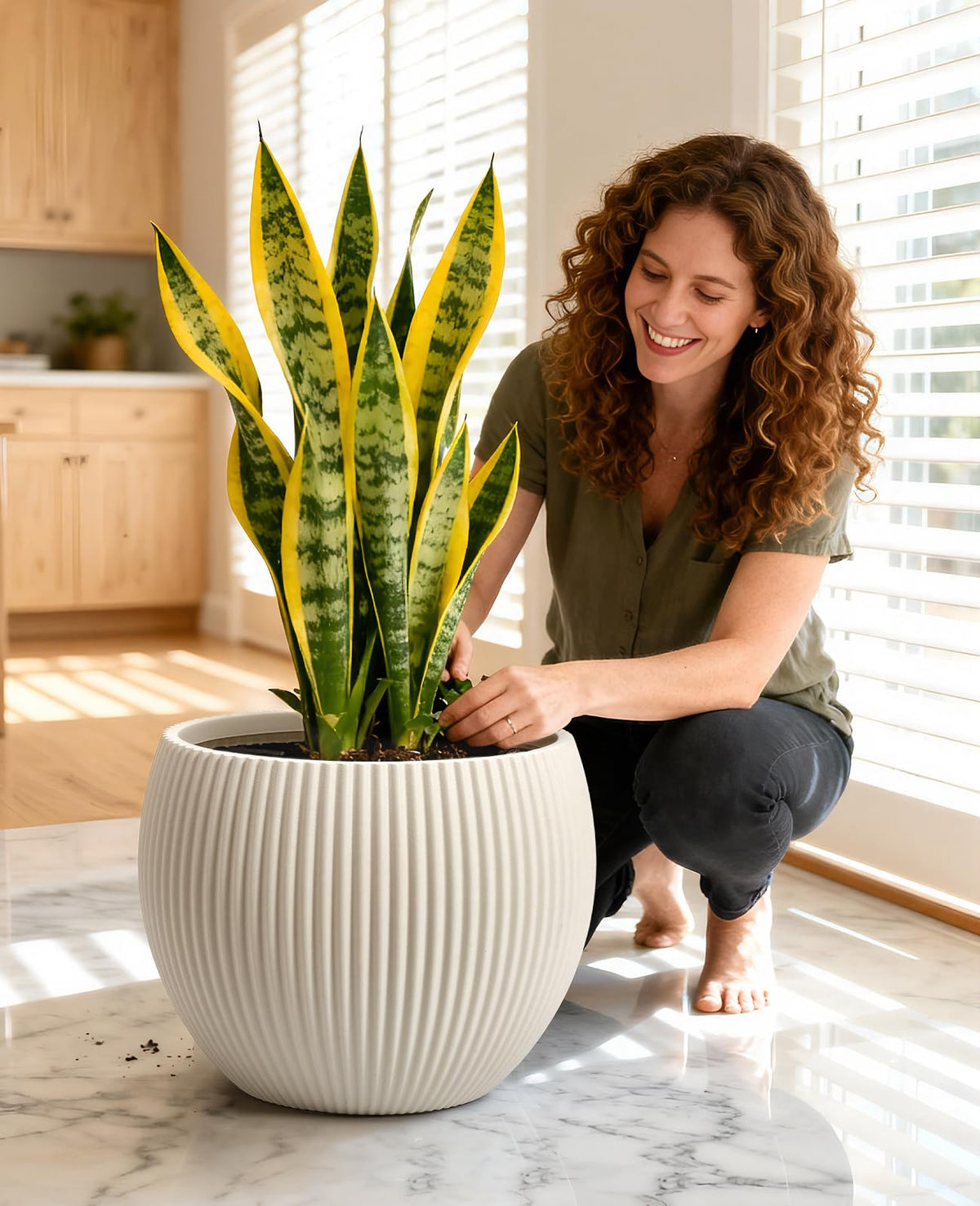 Homenote top-opening design enables easy repotting and root inspection.