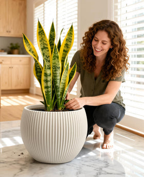Homenote top-opening design enables easy repotting and root inspection.