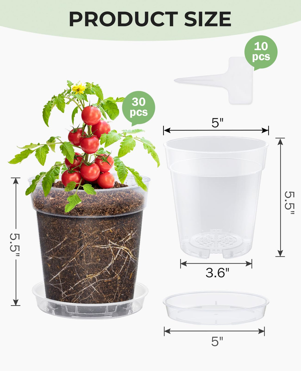 Homenote upgraded drainage holes promote airflow and healthier roots.