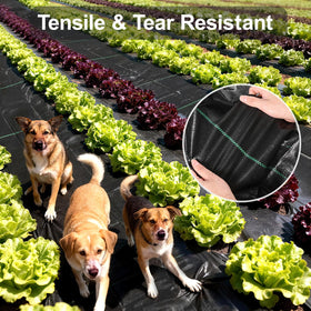 Homewarm weed barrier suitable for greenhouse gardening and lawn edge applications.