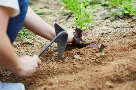 HOMI YOUNGJU ergonomic handle design improves comfort during planting tasks.