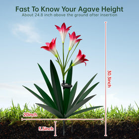 Homight agave lily LED illumination highlights garden focal point after sunset.
