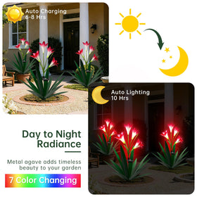 Homight hand-painted desert charm adds realism to porch or patio decor.