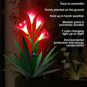 Homight weatherproof finish keeps color through rain and sun