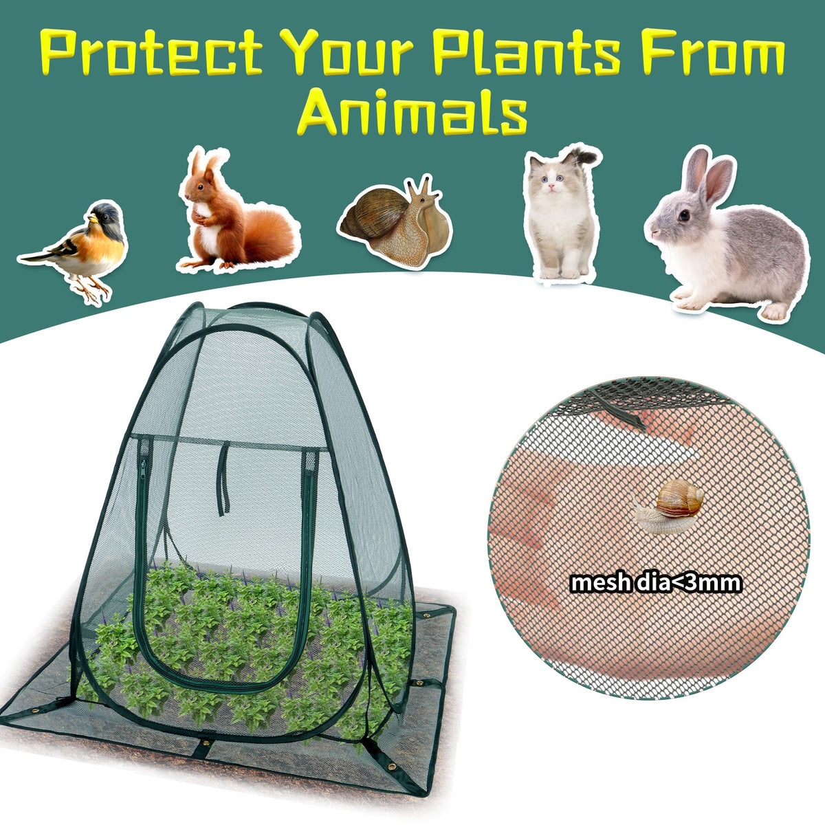 Homiton Garden Netting protects vegetables from birds and critters.