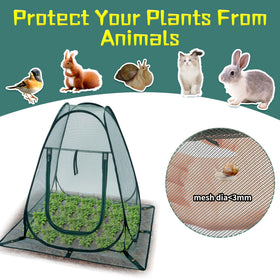 Homiton Garden Netting protects vegetables from birds and critters.