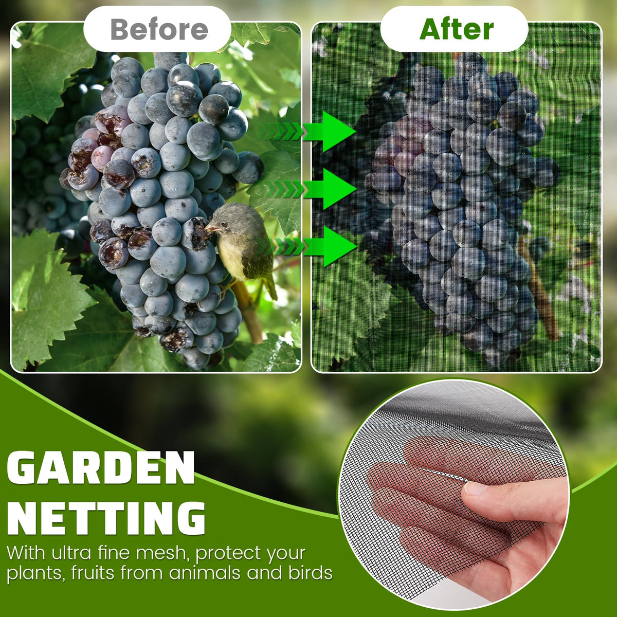 Homiton see-through design lets light and air reach crops