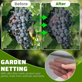 Homiton see-through design lets light and air reach crops