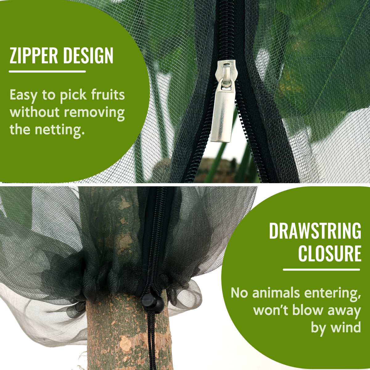 See-through mesh on Homiton netting allows sunlight and moisture