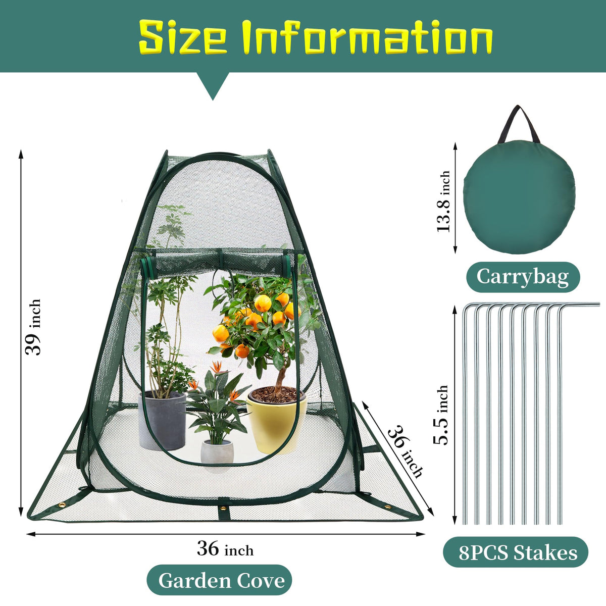 Homiton Eight stakes provide wind-stable setup for the cover.
