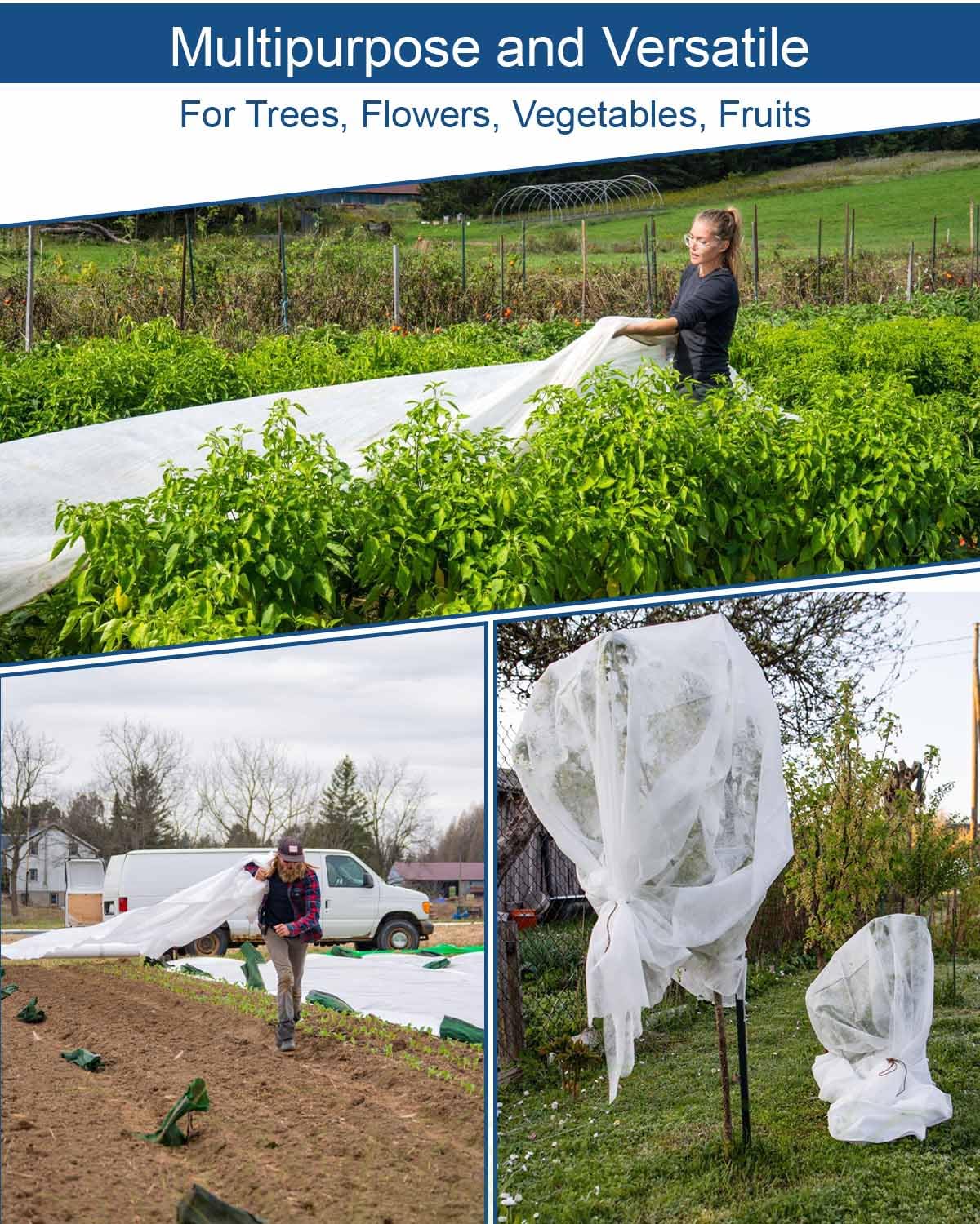 Homoda 2-pack packaging highlighting reusable winter garden protection.