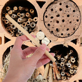 Homoyoyo backyard bee habitat refills for colony houses and gardens.