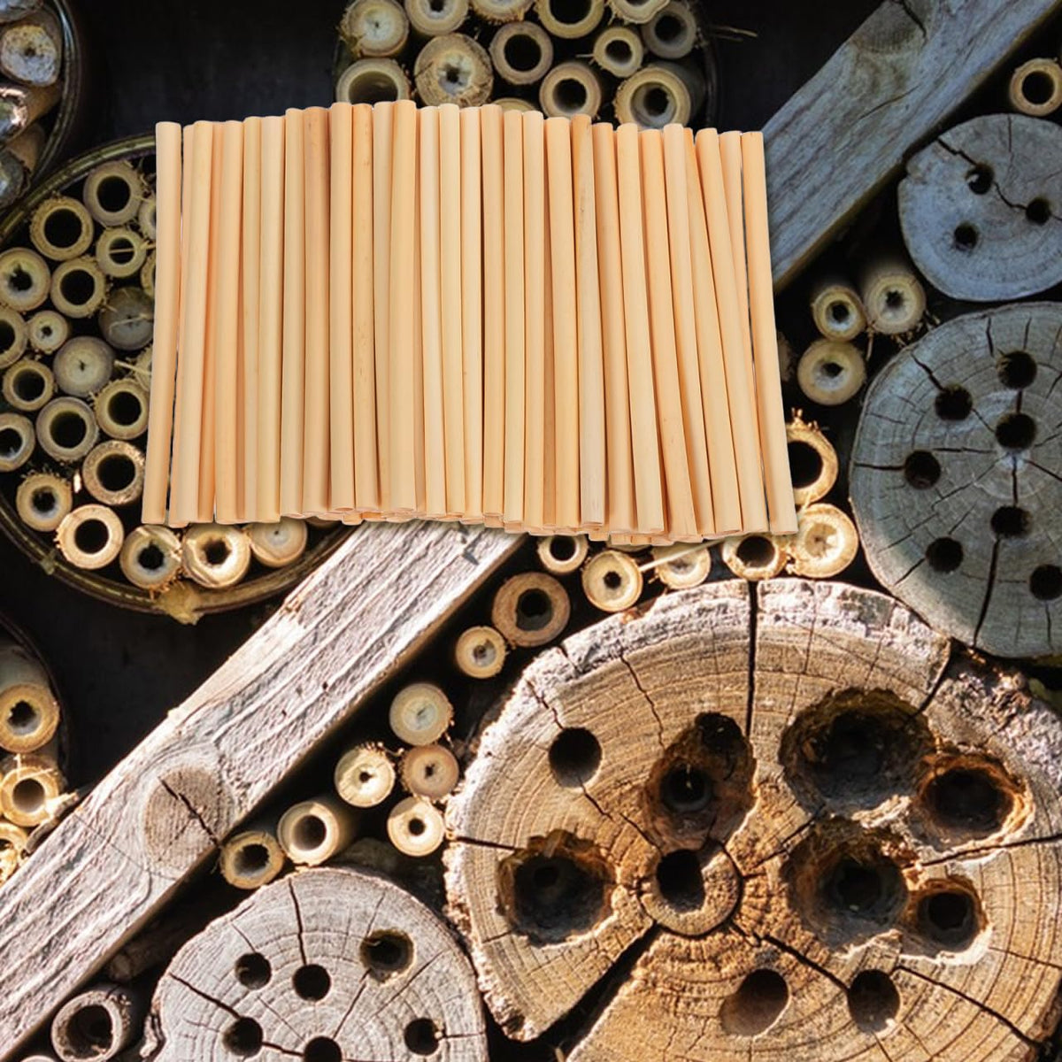 Homoyoyo easy-harvest reed tubes for fall brood collection.