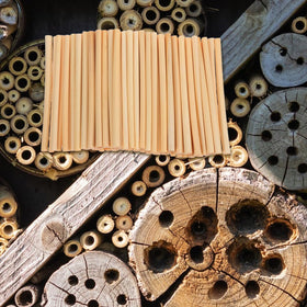 Homoyoyo easy-harvest reed tubes for fall brood collection.
