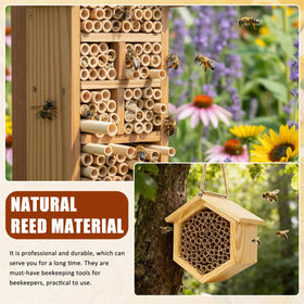 Homoyoyo reed tubes with 0.2–0.31 inch inner diameter for mason bees.
