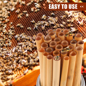 Homoyoyo mason-bee tubes sized at 5.89 inches for comfortable nesting.