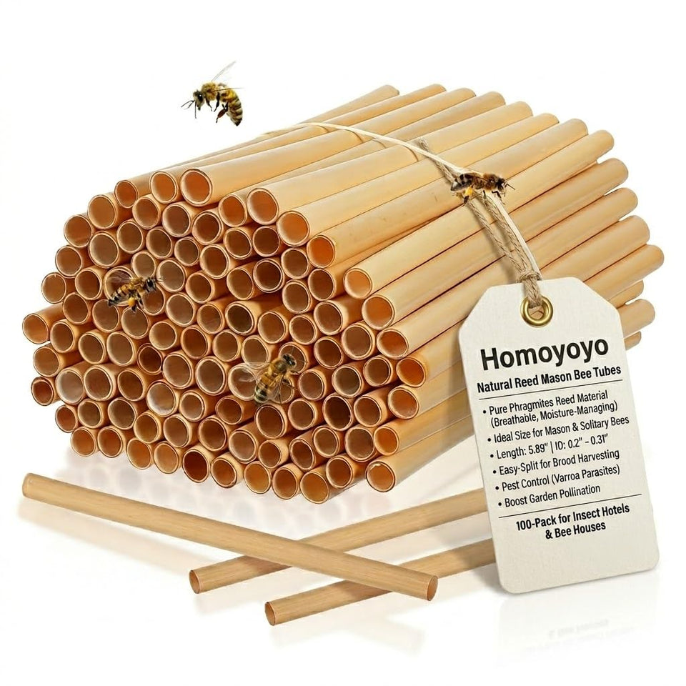 Homoyoyo natural reed mason-bee tubes in side view for dry nesting outdoors.