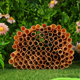 Homoyoyo reed tubes suitable for solitary bees in backyard habitats.