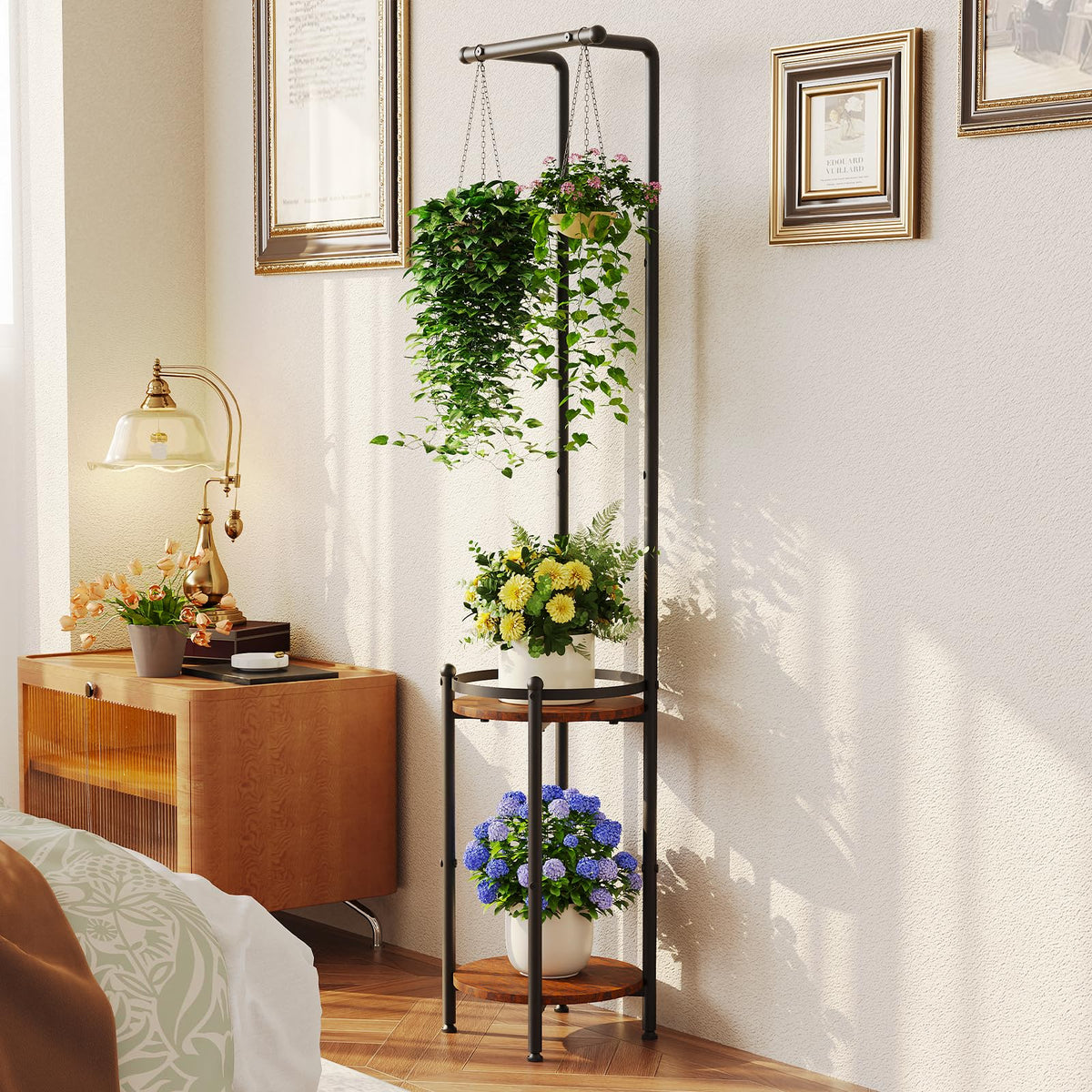 Homsorout balcony garden setup with multiple pots