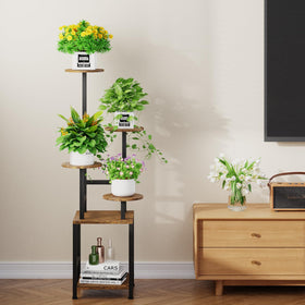 Homsorout indoor-outdoor-ready setup with long power cord for lights