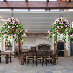 Homsunny outdoor bougainvillea flowers on porch demonstrating UV resistance