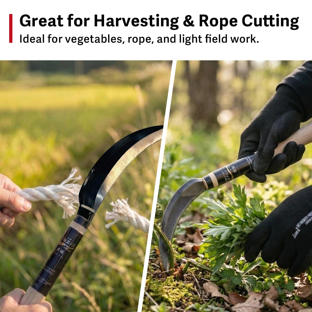 HONEN harvest sickle garden action demonstrates precise cuts among greens