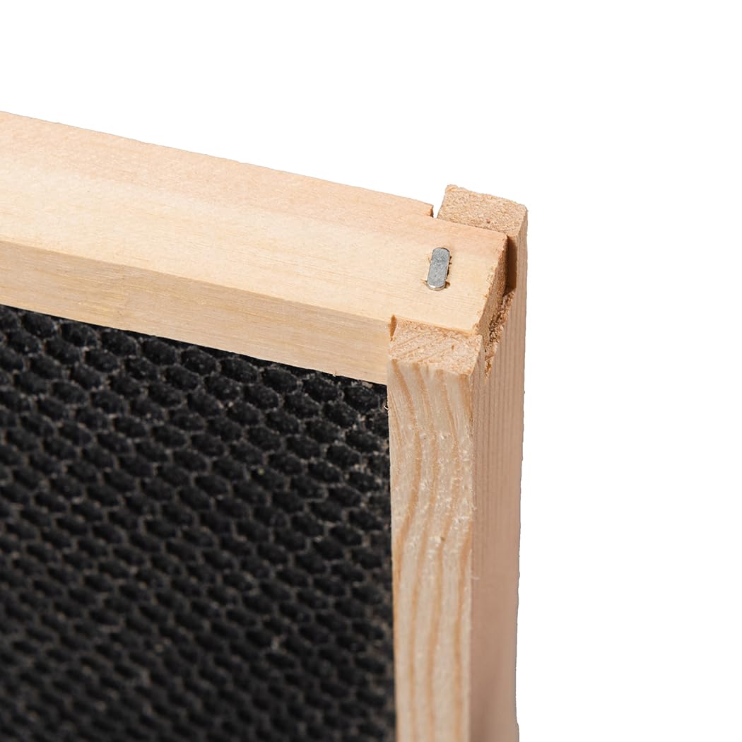 Honey Lake 10-pack frames for efficient hive expansion