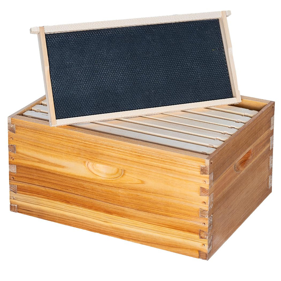 Honey Lake 8-frame deep brood box in cedar for durable hive housing.
