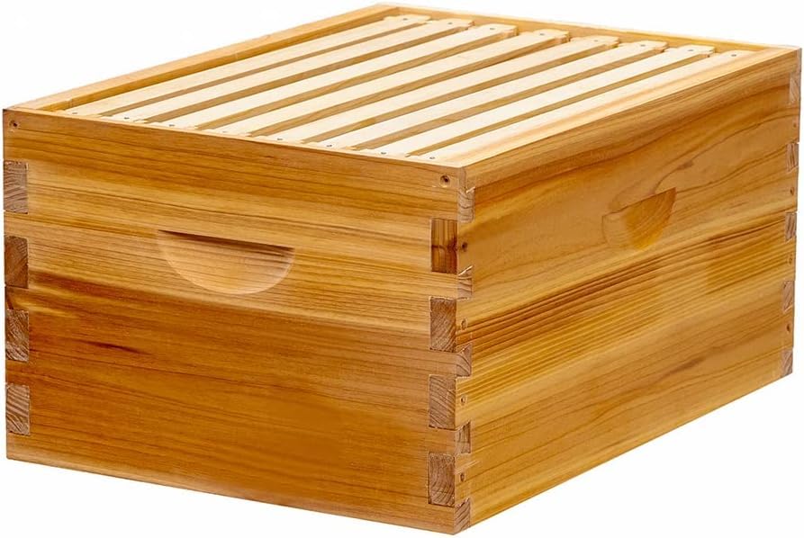 Honey Lake 8-frame deep brood box measures 19.88 by 14 by 9.56 inches.
