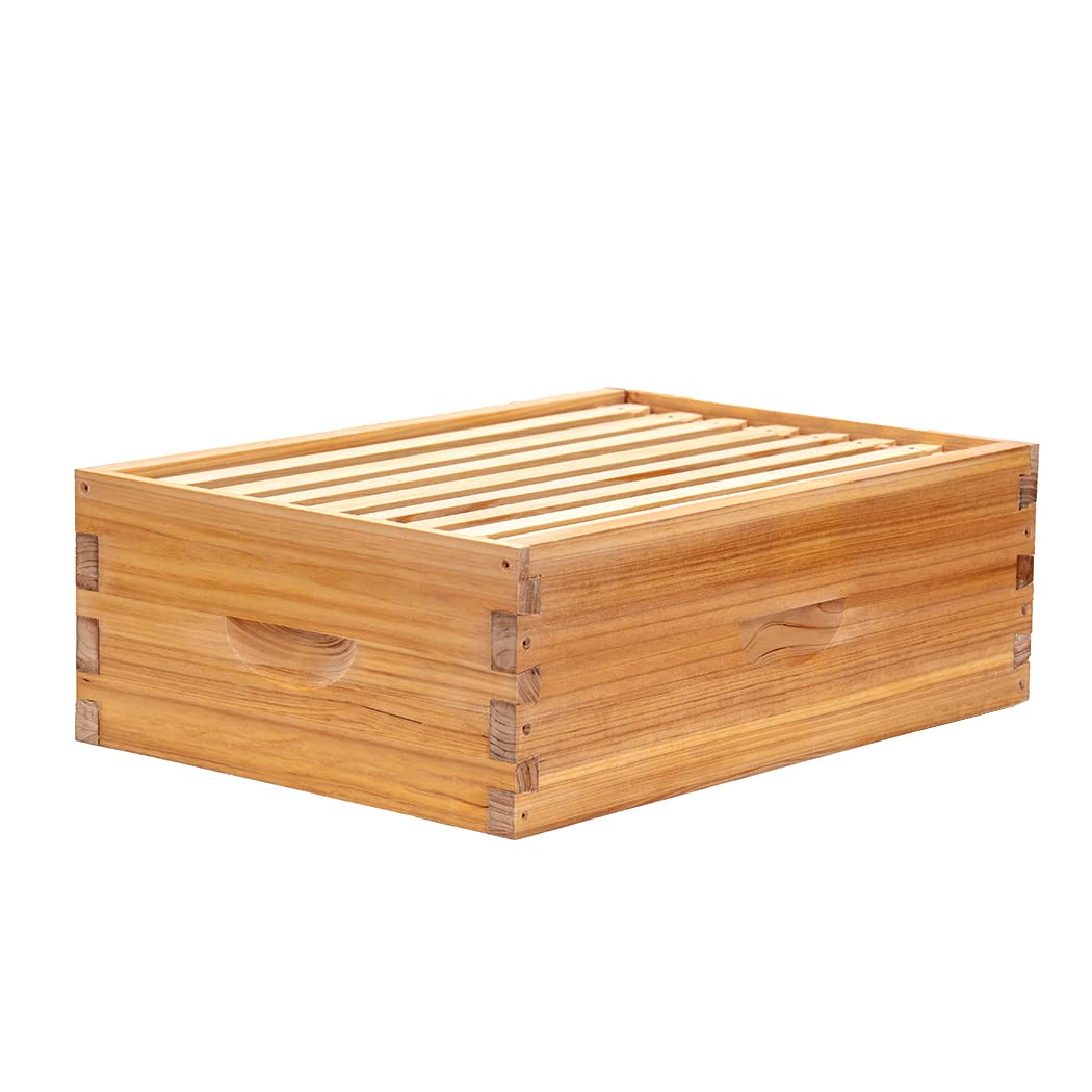 Honey Lake beehive medium super box ready-to-assemble for beginners