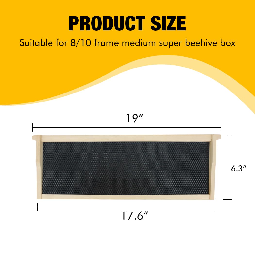 Honey Lake beeswax-coated plastic foundation for quick bee acceptance