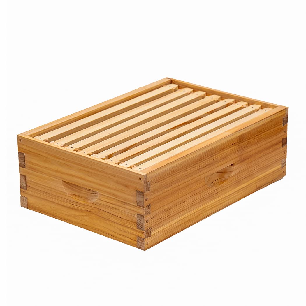 Honey Lake starter beekeeping box ideal for beginners and hobbyists