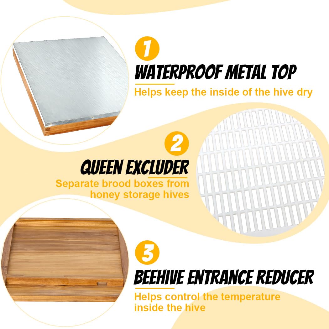 Honey Lake complete starter kit—everything you need to begin beekeeping confidently.