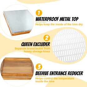 Honey Lake complete starter kit—everything you need to begin beekeeping confidently.