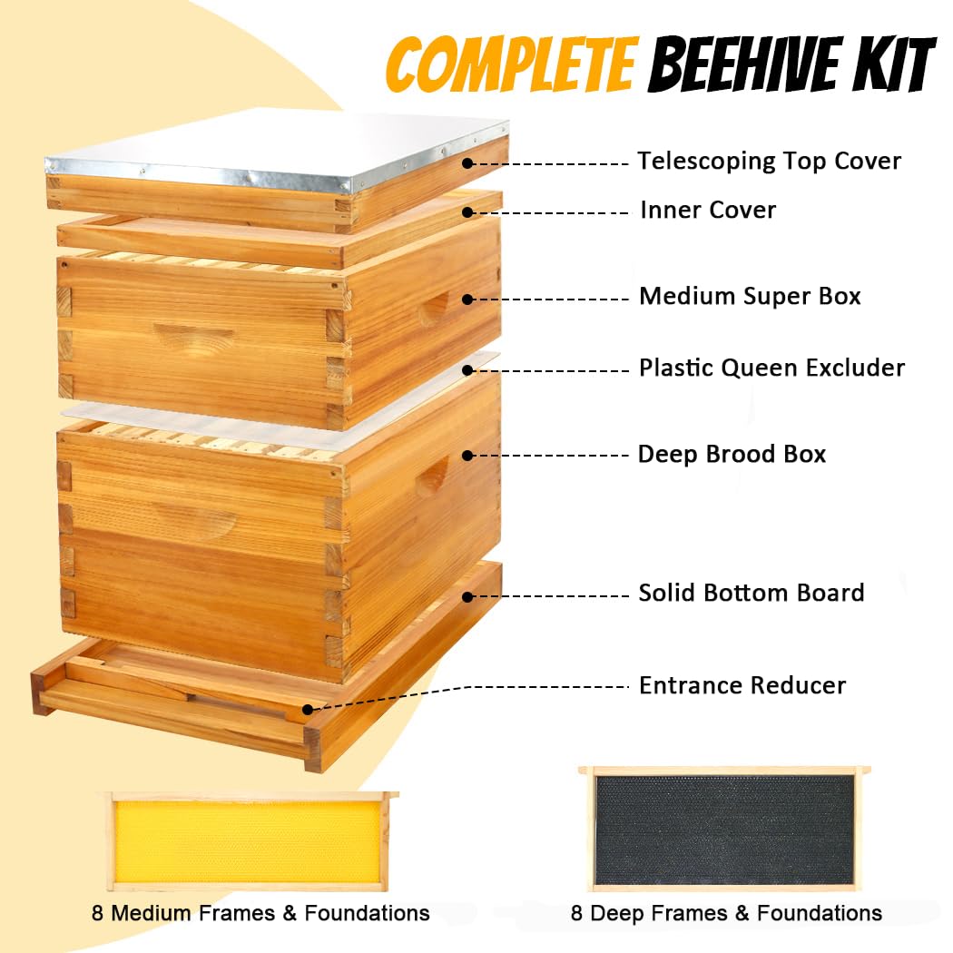 Honey Lake deep brood box shown for brood housing and expansion