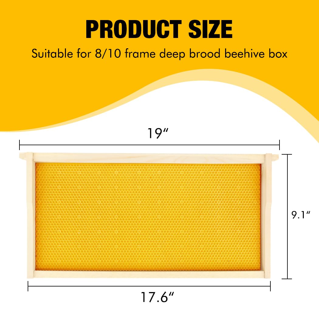 Honey Lake food-grade foundation coated with beeswax supports healthy brood and easy hive inspection