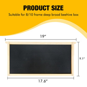 Honey Lake frames with foundations beeswax-coated for safe drawing